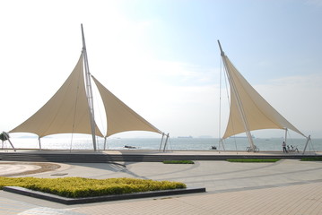 知识产权保护要综合运用什么等多种手段从审查授权行政执法司法保护仲裁调解行