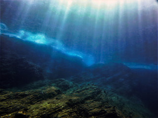 中华人民共和国野生动物保护法国家重点保护的野生动物分为什么