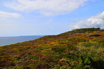 历史上与诸葛亮齐名的是谁