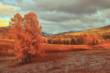 知识产权保护要综合运用什么等多种手段从审查授权行政执法司法保护仲裁调解行
