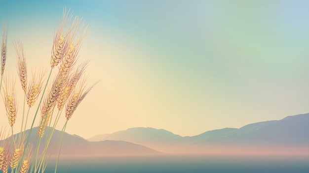 中华人民共和国野生动物保护法国家重点保护的野生动物分为什么